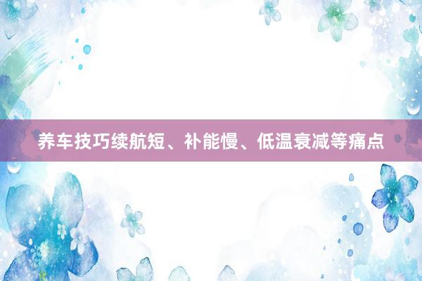 养车技巧续航短、补能慢、低温衰减等痛点