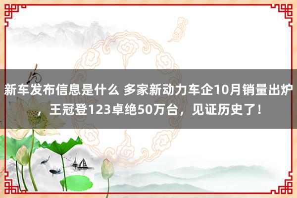 新车发布信息是什么 多家新动力车企10月销量出炉，王冠登123卓绝50万台，见证历史了！