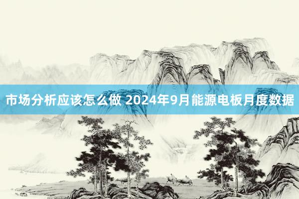 市场分析应该怎么做 2024年9月能源电板月度数据