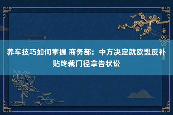 养车技巧如何掌握 商务部：中方决定就欧盟反补贴终裁门径拿告状讼