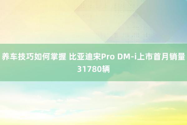 养车技巧如何掌握 比亚迪宋Pro DM-i上市首月销量31780辆