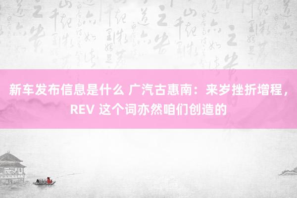 新车发布信息是什么 广汽古惠南：来岁挫折增程，REV 这个词亦然咱们创造的