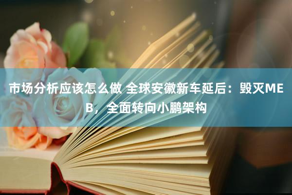 市场分析应该怎么做 全球安徽新车延后：毁灭MEB，全面转向小鹏架构