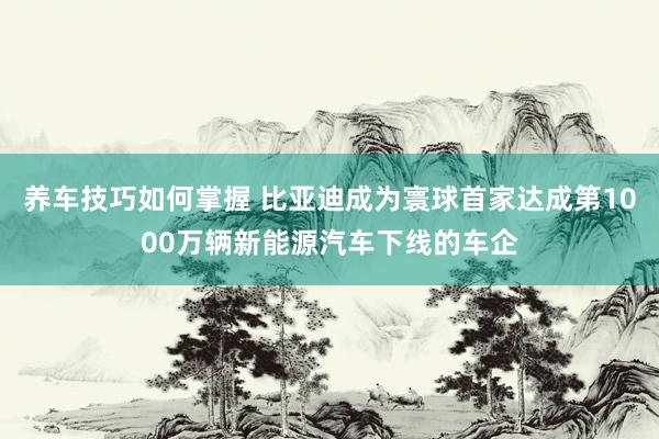 养车技巧如何掌握 比亚迪成为寰球首家达成第1000万辆新能源汽车下线的车企