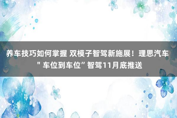 养车技巧如何掌握 双模子智驾新施展！理思汽车 ＂车位到车位”智驾11月底推送