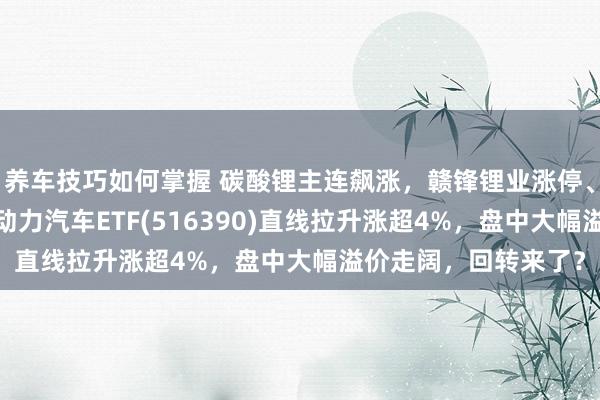 养车技巧如何掌握 碳酸锂主连飙涨，赣锋锂业涨停、宁德期间涨3%，新动力汽车ETF(516390)直线拉升涨超4%，盘中大幅溢价走阔，回转来了？