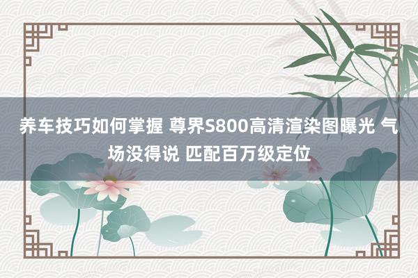 养车技巧如何掌握 尊界S800高清渲染图曝光 气场没得说 匹配百万级定位