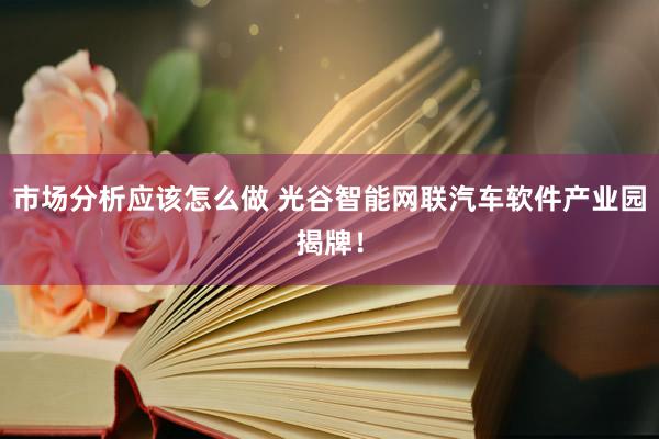 市场分析应该怎么做 光谷智能网联汽车软件产业园揭牌！