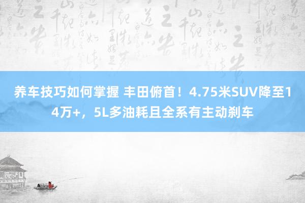 养车技巧如何掌握 丰田俯首！4.75米SUV降至14万+，5L多油耗且全系有主动刹车