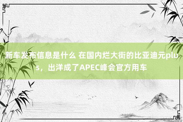 新车发布信息是什么 在国内烂大街的比亚迪元plus，出洋成了APEC峰会官方用车