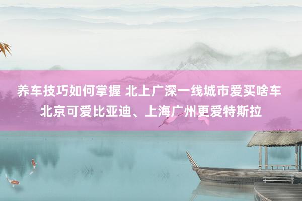 养车技巧如何掌握 北上广深一线城市爱买啥车 北京可爱比亚迪、上海广州更爱特斯拉