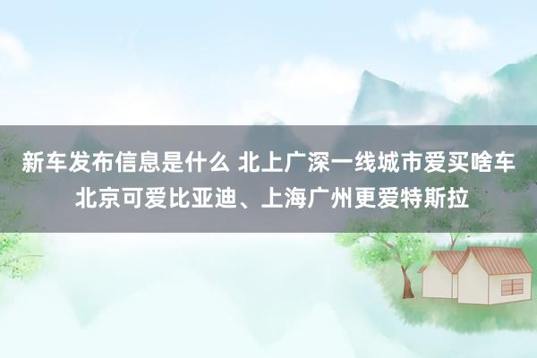 新车发布信息是什么 北上广深一线城市爱买啥车 北京可爱比亚迪、上海广州更爱特斯拉