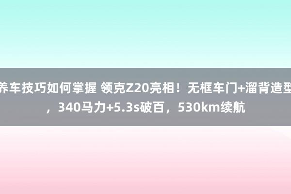 养车技巧如何掌握 领克Z20亮相！无框车门+溜背造型，340马力+5.3s破百，530km续航