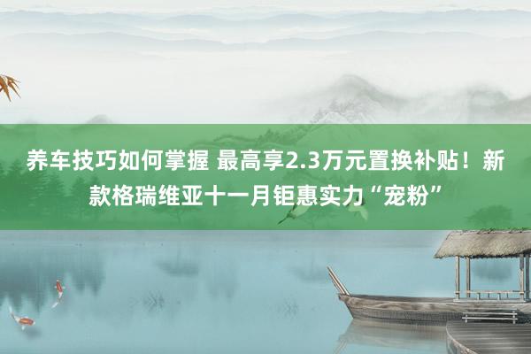 养车技巧如何掌握 最高享2.3万元置换补贴！新款格瑞维亚十一月钜惠实力“宠粉”