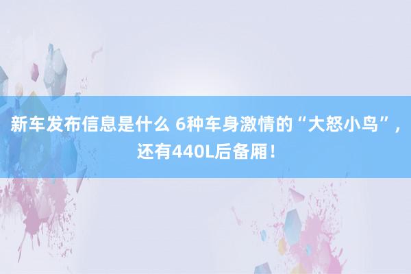 新车发布信息是什么 6种车身激情的“大怒小鸟”，还有440L后备厢！