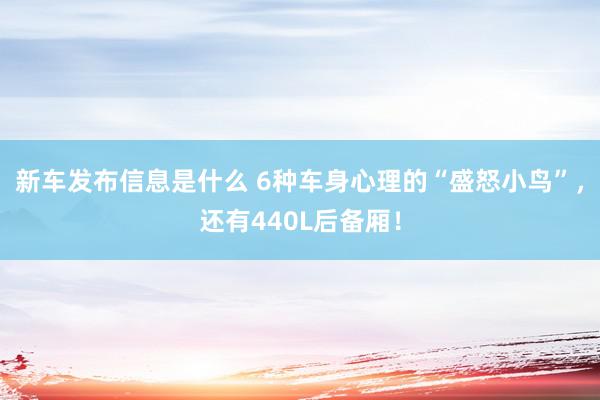 新车发布信息是什么 6种车身心理的“盛怒小鸟”，还有440L后备厢！