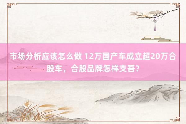 市场分析应该怎么做 12万国产车成立超20万合股车，合股品牌怎样支吾？