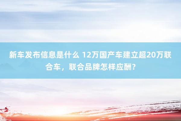 新车发布信息是什么 12万国产车建立超20万联合车，联合品牌怎样应酬？