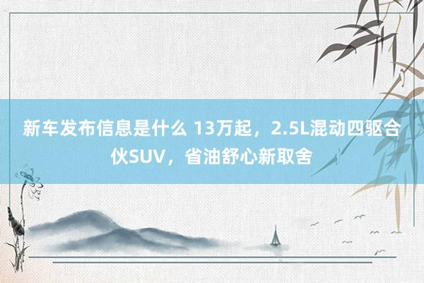 新车发布信息是什么 13万起，2.5L混动四驱合伙SUV，省油舒心新取舍