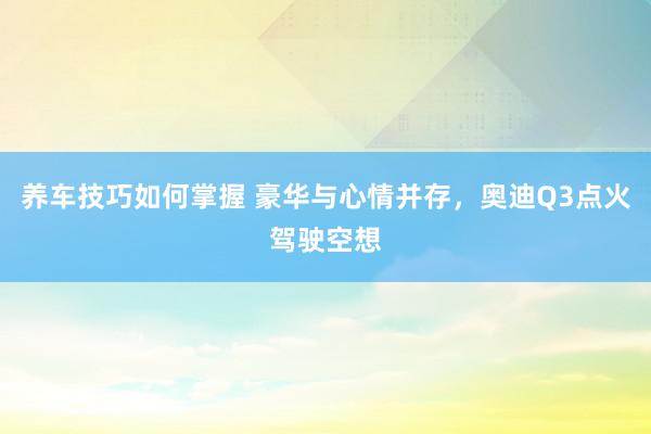 养车技巧如何掌握 豪华与心情并存，奥迪Q3点火驾驶空想