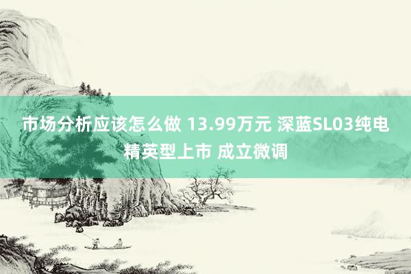 市场分析应该怎么做 13.99万元 深蓝SL03纯电精英型上市 成立微调