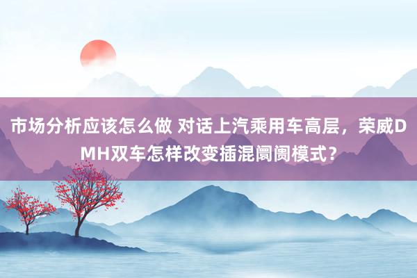 市场分析应该怎么做 对话上汽乘用车高层，荣威DMH双车怎样改变插混阛阓模式？