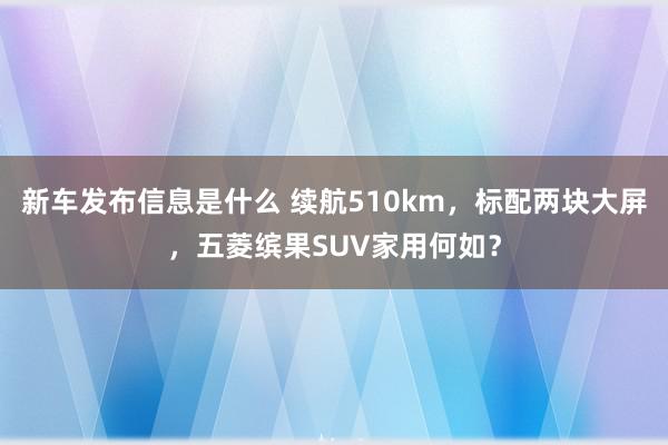 新车发布信息是什么 续航510km，标配两块大屏，五菱缤果SUV家用何如？