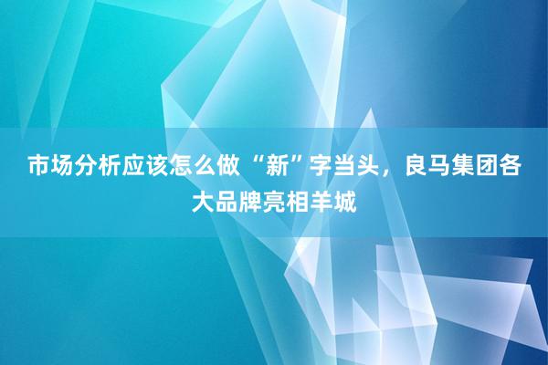 市场分析应该怎么做 “新”字当头，良马集团各大品牌亮相羊城