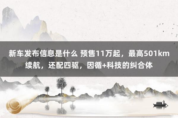 新车发布信息是什么 预售11万起，最高501km续航，还配四驱，因循+科技的纠合体