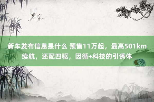 新车发布信息是什么 预售11万起，最高501km续航，还配四驱，因循+科技的引诱体