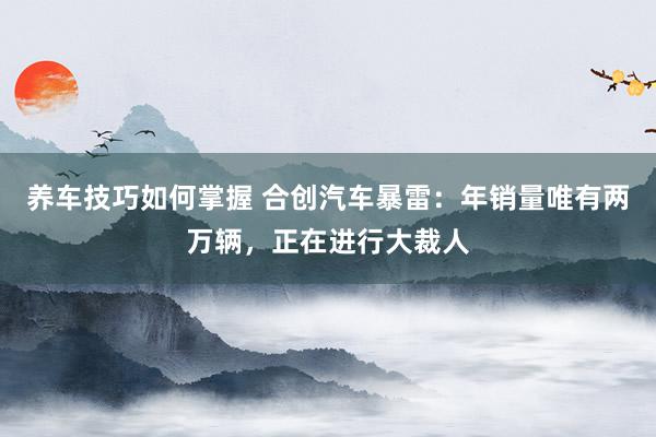 养车技巧如何掌握 合创汽车暴雷：年销量唯有两万辆，正在进行大裁人