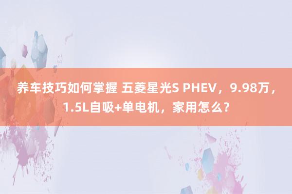 养车技巧如何掌握 五菱星光S PHEV，9.98万，1.5L自吸+单电机，家用怎么？