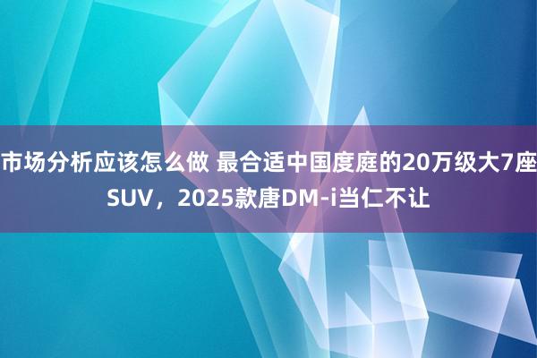 市场分析应该怎么做 最合适中国度庭的20万级大7座SUV，2025款唐DM-i当仁不让