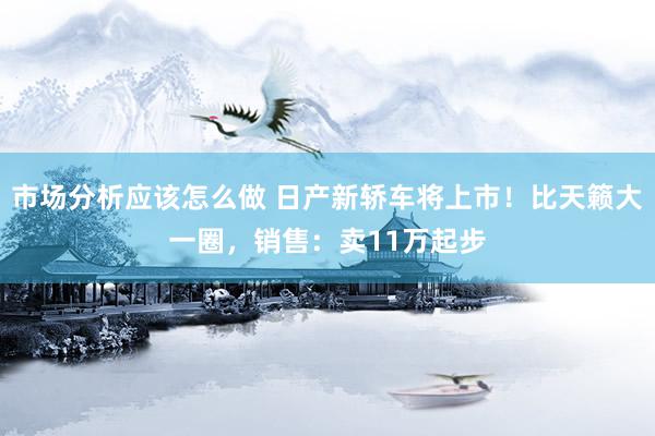 市场分析应该怎么做 日产新轿车将上市！比天籁大一圈，销售：卖11万起步