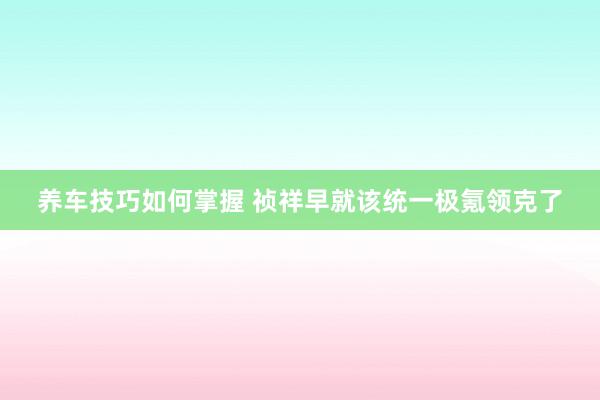 养车技巧如何掌握 祯祥早就该统一极氪领克了