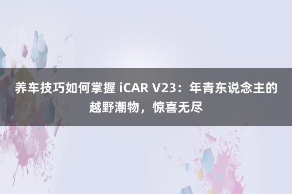 养车技巧如何掌握 iCAR V23：年青东说念主的越野潮物，惊喜无尽