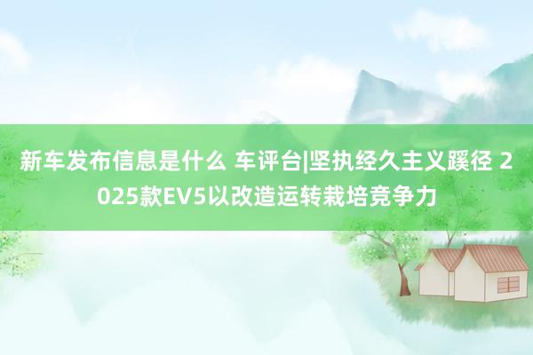 新车发布信息是什么 车评台|坚执经久主义蹊径 2025款EV5以改造运转栽培竞争力