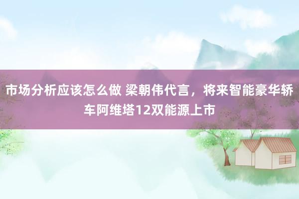 市场分析应该怎么做 梁朝伟代言，将来智能豪华轿车阿维塔12双能源上市