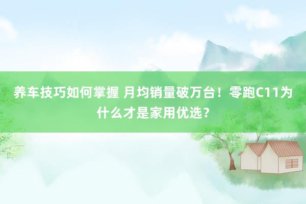 养车技巧如何掌握 月均销量破万台！零跑C11为什么才是家用优选？