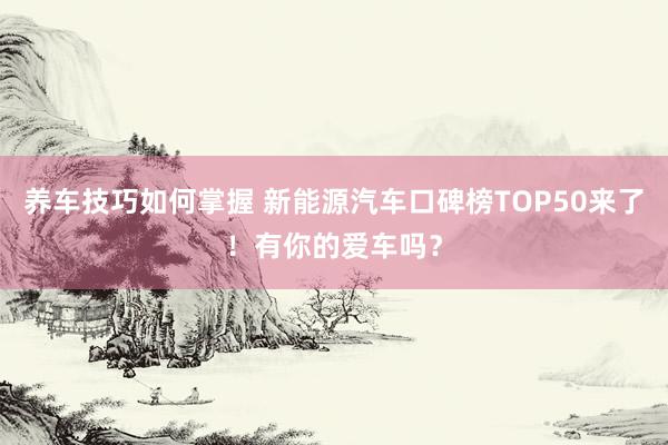 养车技巧如何掌握 新能源汽车口碑榜TOP50来了！有你的爱车吗？