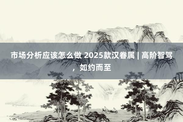 市场分析应该怎么做 2025款汉眷属 | 高阶智驾，如约而至