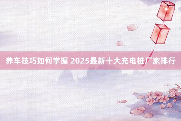 养车技巧如何掌握 2025最新十大充电桩厂家排行