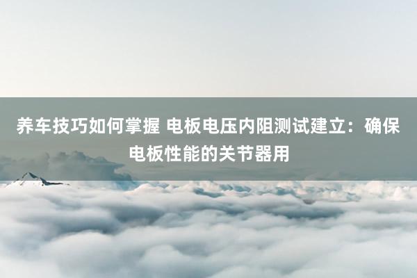 养车技巧如何掌握 电板电压内阻测试建立：确保电板性能的关节器用