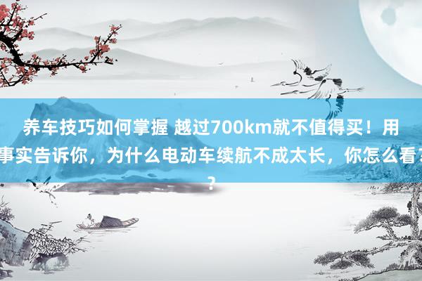 养车技巧如何掌握 越过700km就不值得买！用事实告诉你，为什么电动车续航不成太长，你怎么看？