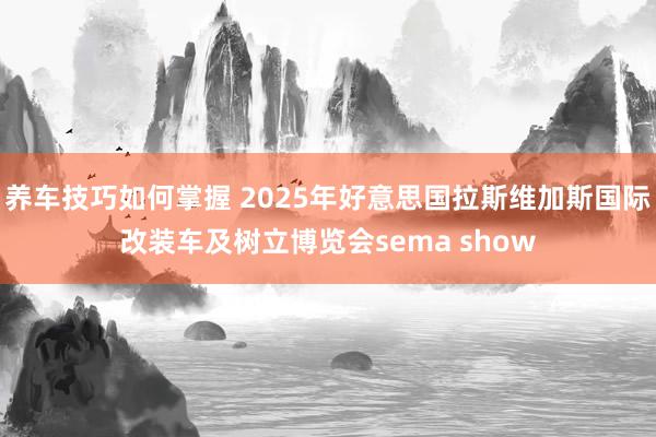 养车技巧如何掌握 2025年好意思国拉斯维加斯国际改装车及树立博览会sema show