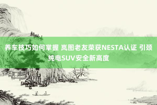 养车技巧如何掌握 岚图老友荣获NESTA认证 引颈纯电SUV安全新高度