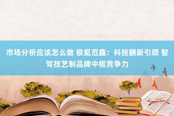 市场分析应该怎么做 极氪范鑫：科技翻新引颈 智驾技艺制品牌中枢竞争力