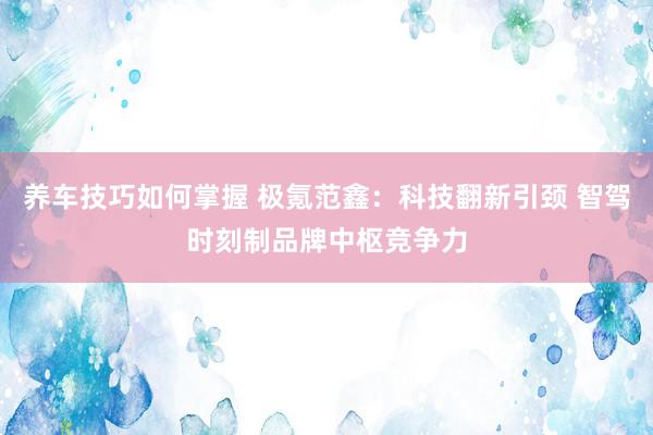 养车技巧如何掌握 极氪范鑫：科技翻新引颈 智驾时刻制品牌中枢竞争力