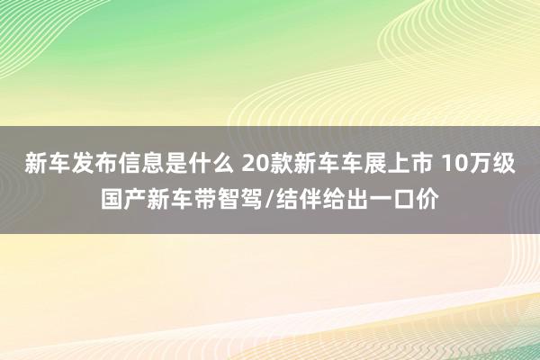 新车发布信息是什么 20款新车车展上市 10万级国产新车带智驾/结伴给出一口价