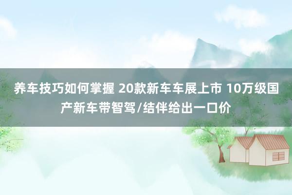 养车技巧如何掌握 20款新车车展上市 10万级国产新车带智驾/结伴给出一口价